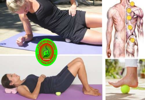 rxharun.com/Tennis-Ball