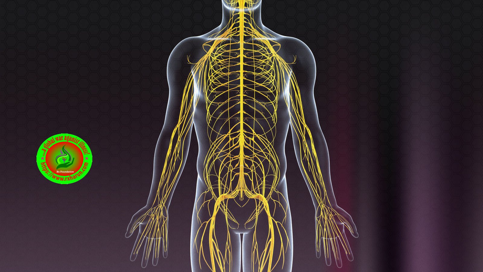 PLID Causes Symptoms Diagnosis