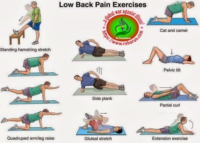 https://illnesshacker.com/low-back-pain-exercise