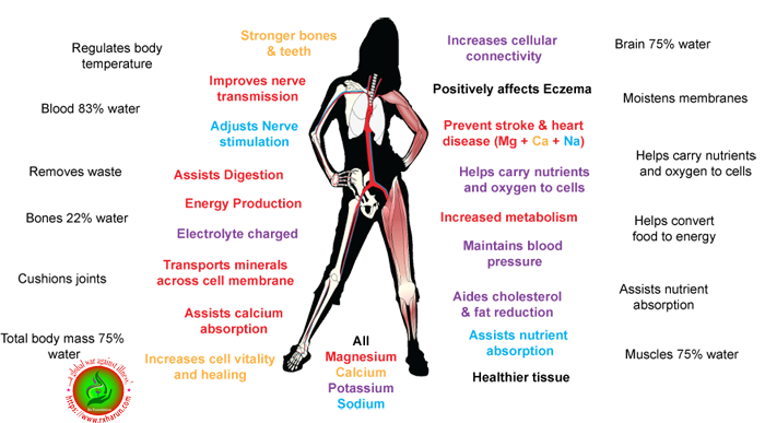 Magnesium Health Benefit; Magnesium Rich Foods, Deficiency Symptoms