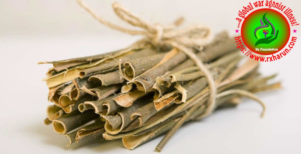 Willow Bark