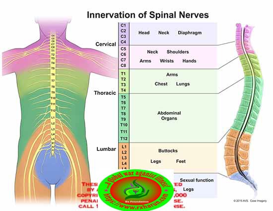 Cervical spondylosis