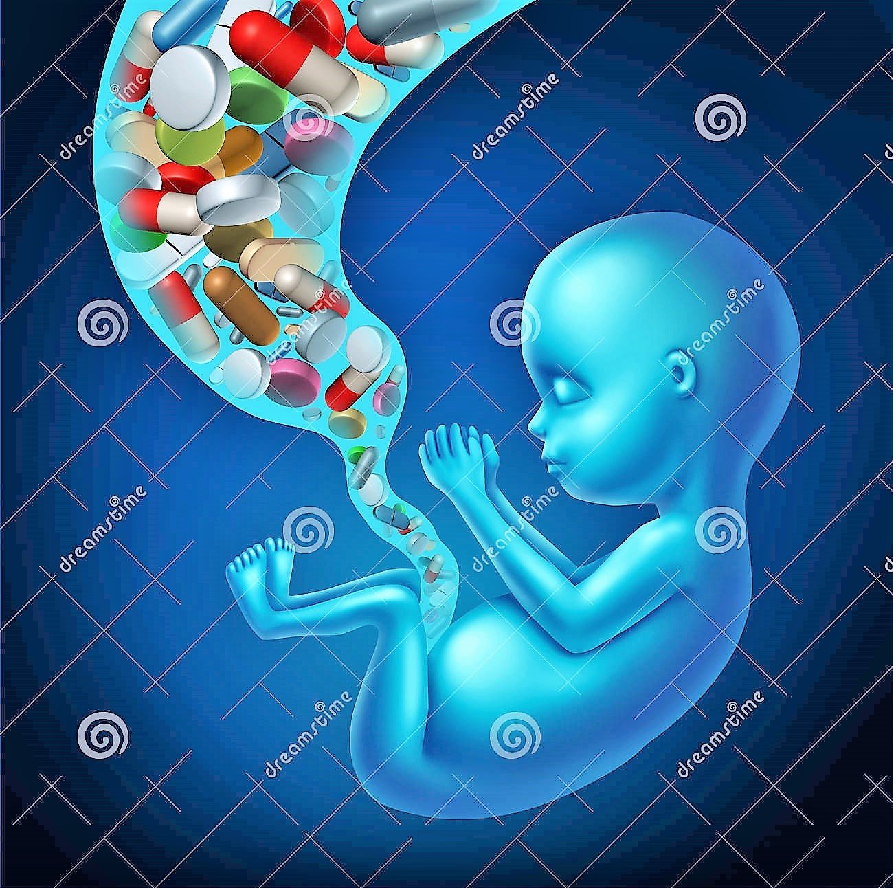 Pregnancy category