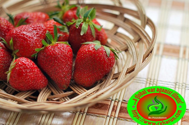 What Is The Best Antioxidant?