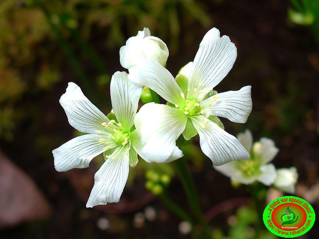 soft cute beautiful skin