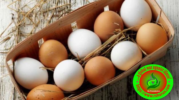 rxharun.com/ makeup-eggs-