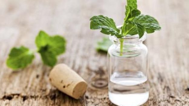 soft cute beautiful skin