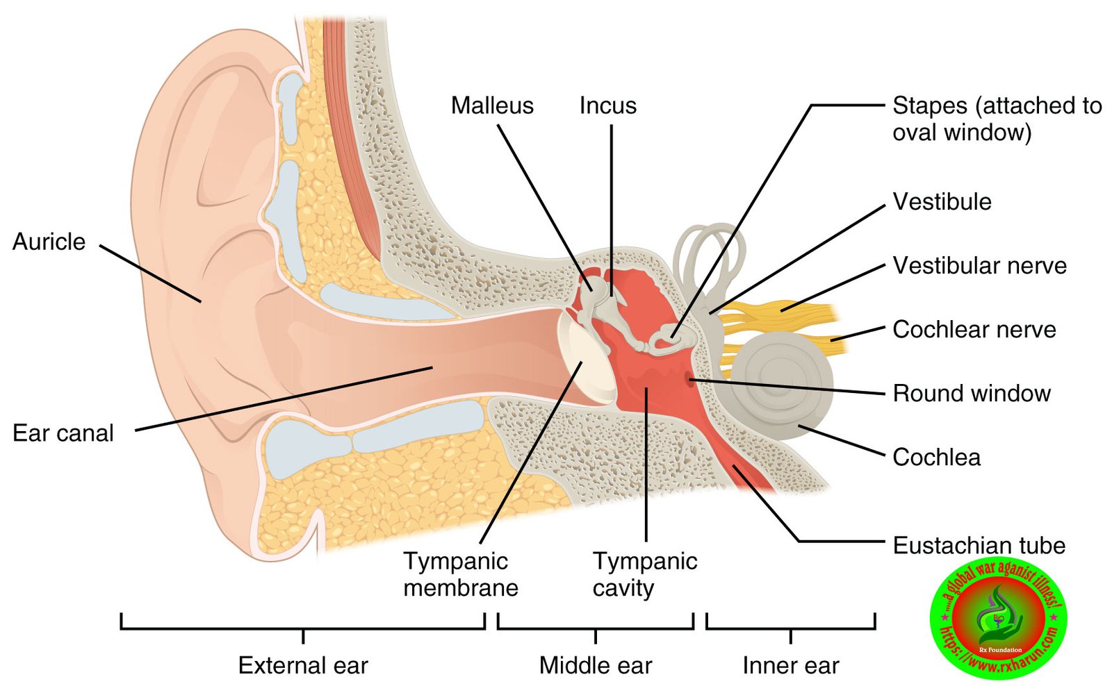 rxharun.com/How-to-balance-the-crystals