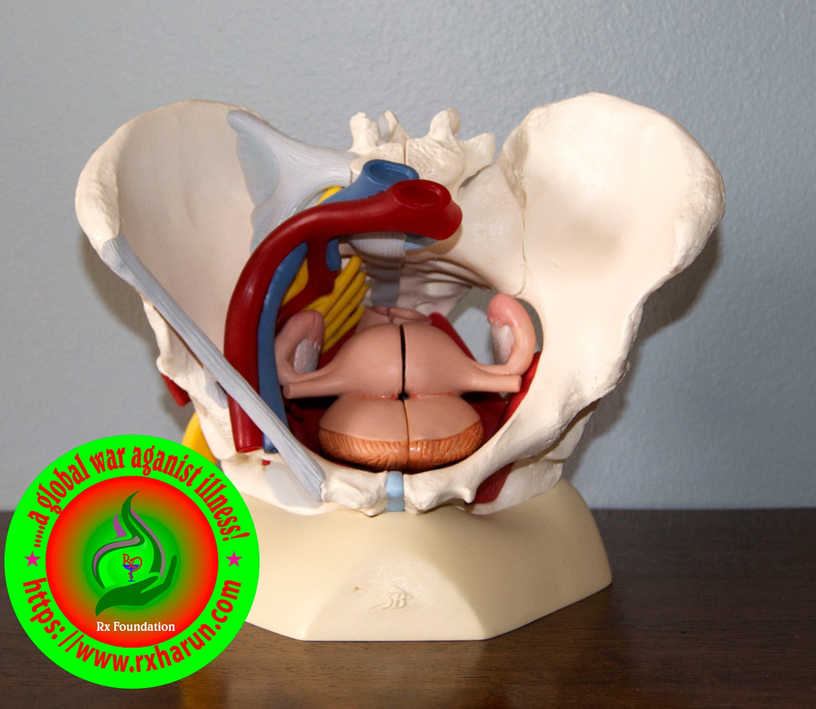 What is the Best Exercise for Uterine Prolapse