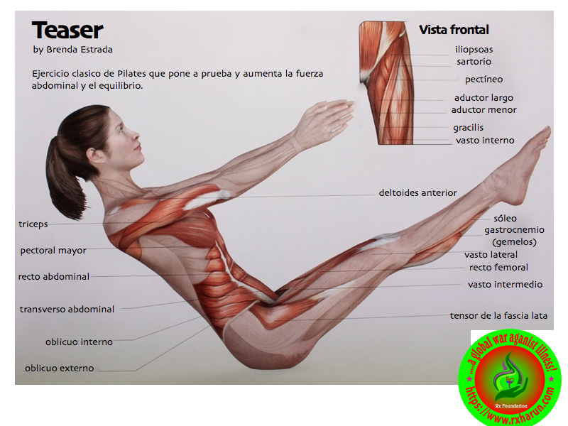 rxharun.com/stomach-crunch-legs-raised_