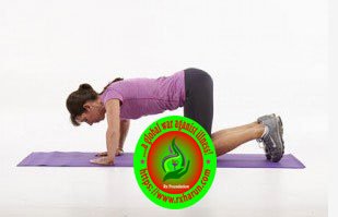 rxharun.com/core strengthening exercise