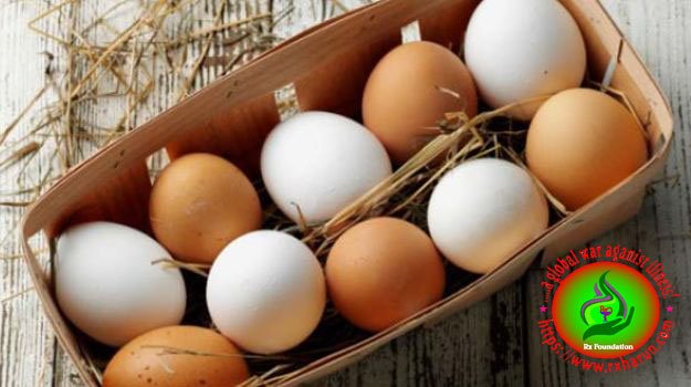 rxharun.com/egg-honey-