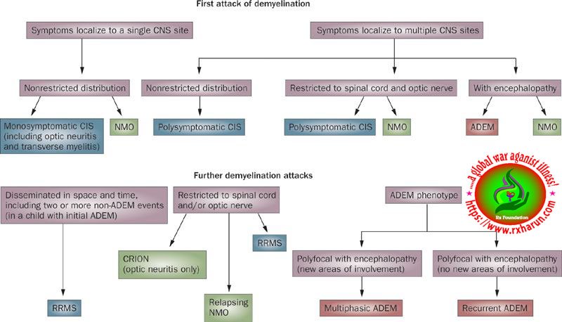 Transverse Myelitis 