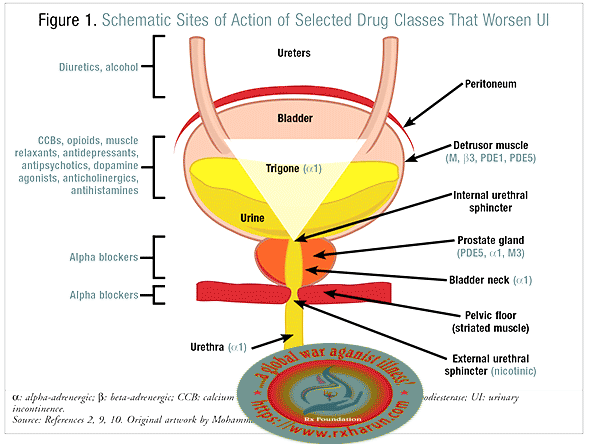 rxharun.com/urinary incontinence