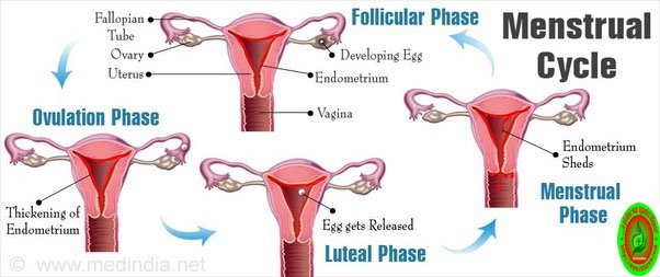 rxharun.com/menstrual -problem