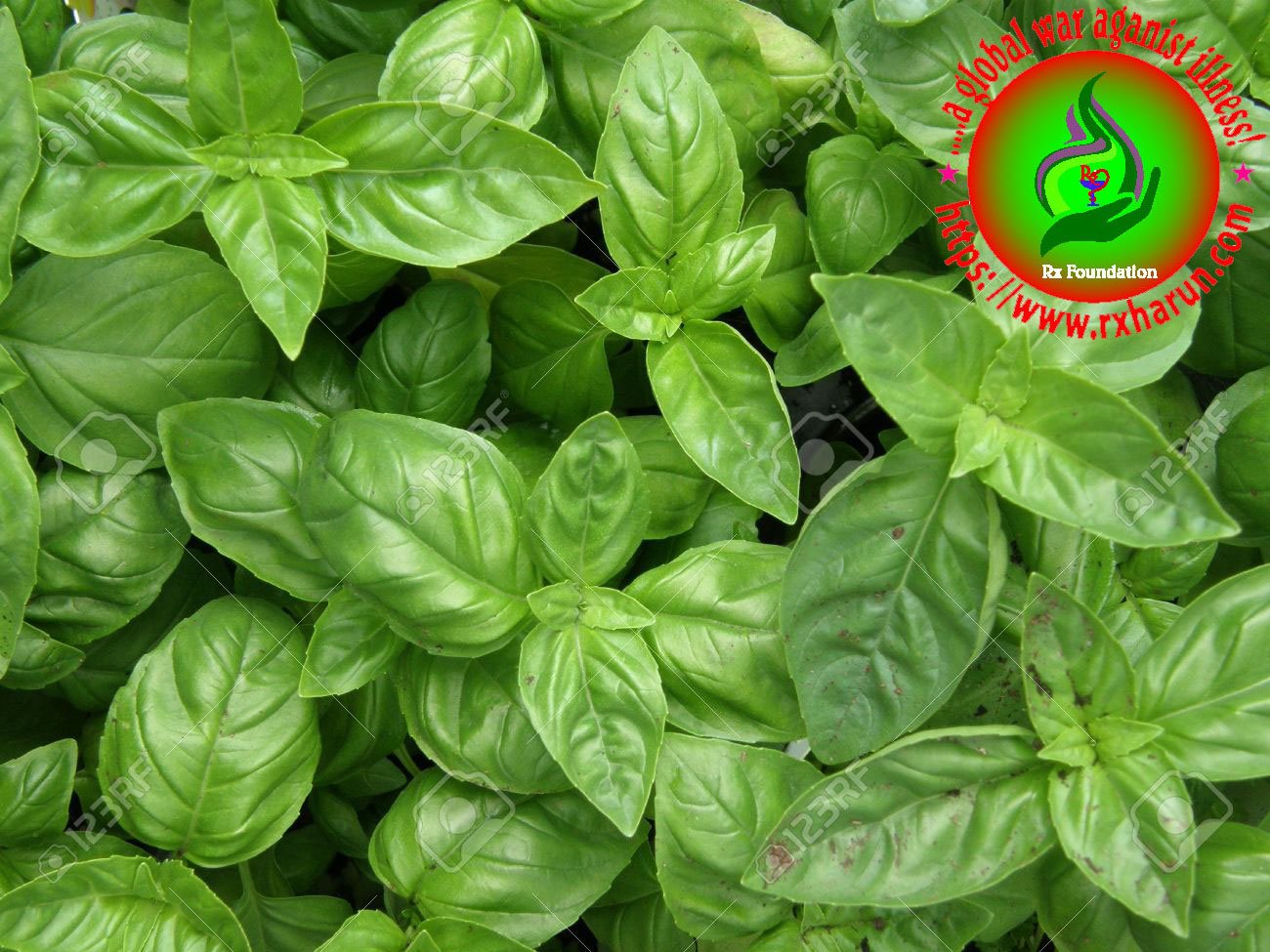 leukorrhoea-home remedies