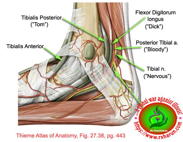 Tarsal Tunnel Syndrome