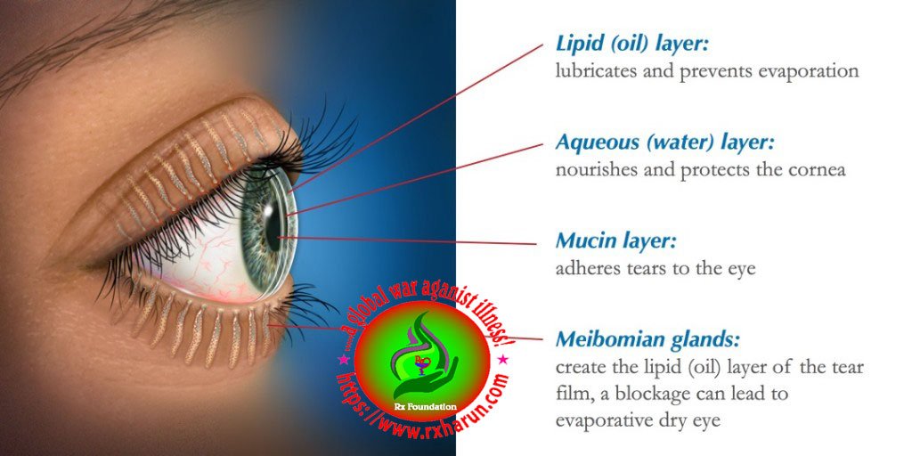 https://illnesshacker.com/eye diseases,
