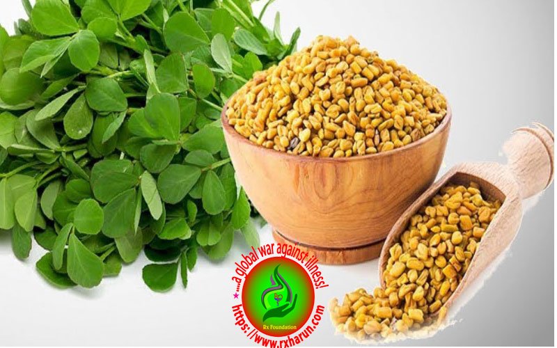 Eyebrow -home remedies-Fenugreek Seeds