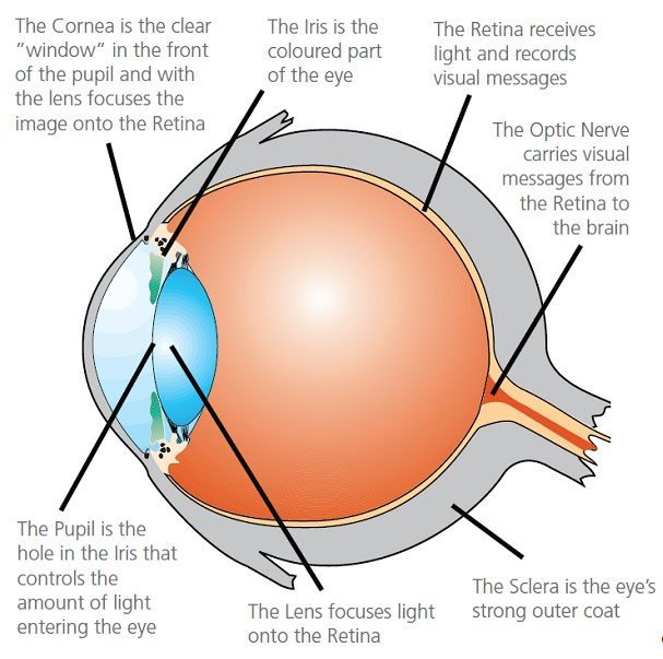 keratoconjunctivitis Sicca