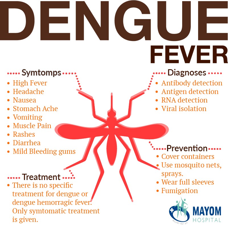 Dengue Fever Causes