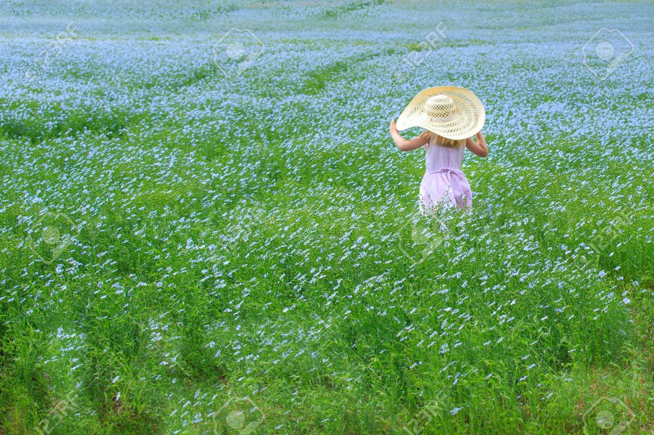 What Does Vitamin A Do in The Human Body