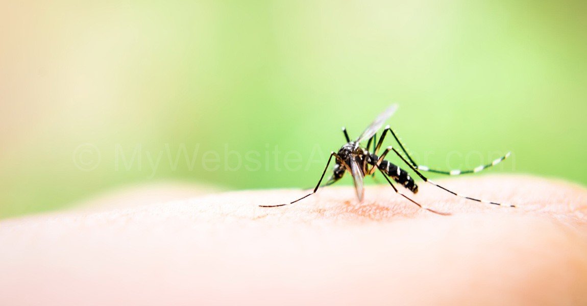 Dengue fever