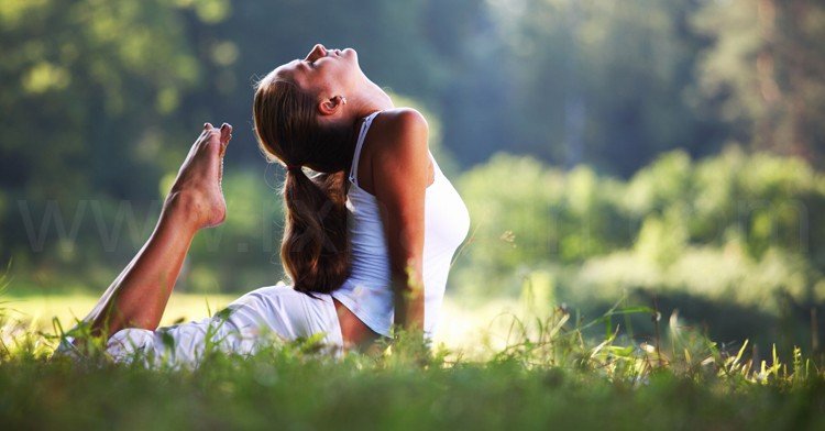 Food Source of Vitamin B3