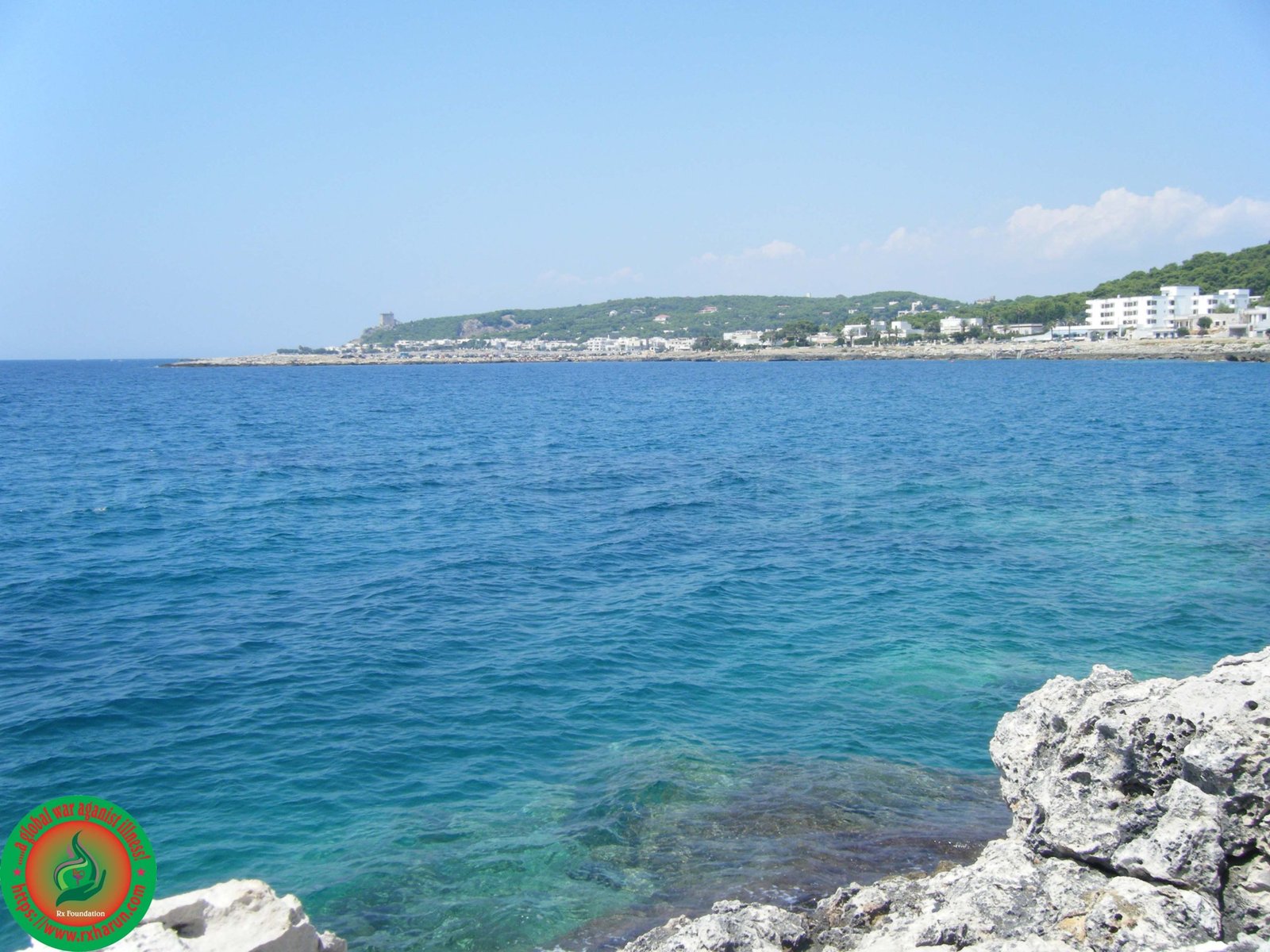 What Does Choline Do For The Body