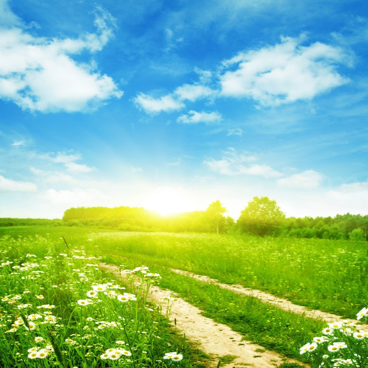 Can lipomas be removed without surgery