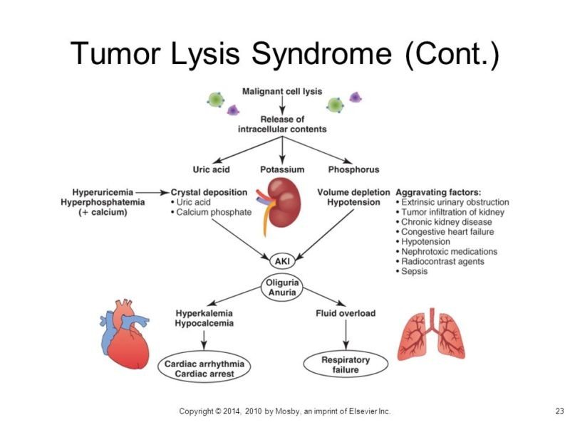 How is tumor lysis syndrome diagnosed?