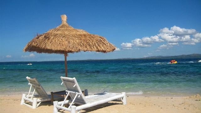 Degenerative Joint Arthritis