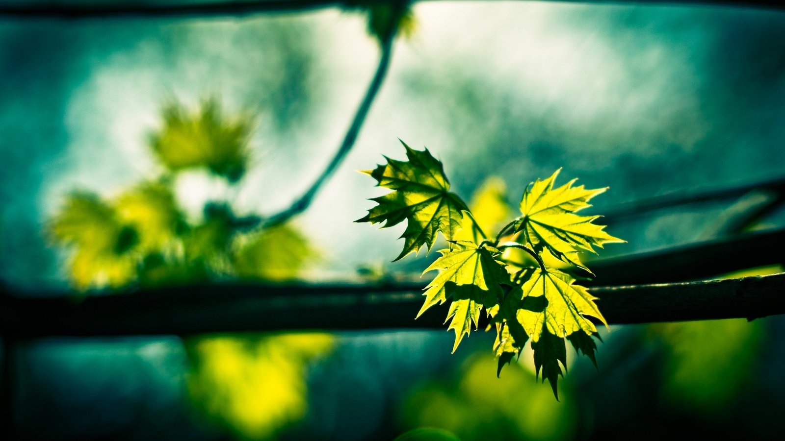 Uses/ Indications of Lumbar Back Brace