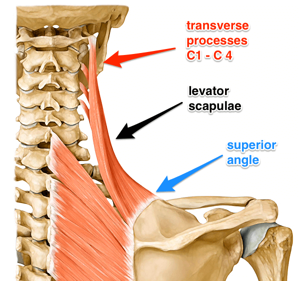 Atlantoaxial Joints Instability
