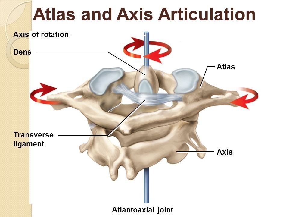 Lumbar Disk Disease