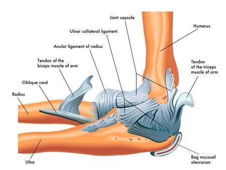 Elbow Joints Arthritis