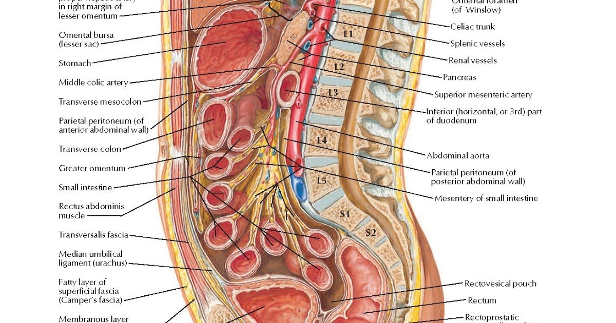 Test Diagnosis of Pelvic Fracture