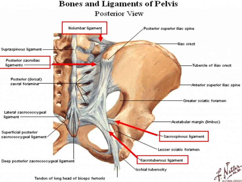 Sacroiliac Joint Pain