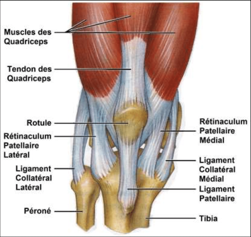 Treatment of Knee Osteoarthritis
