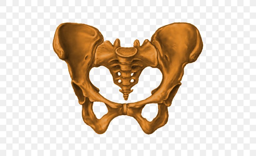 Sacroiliac Joint Injury