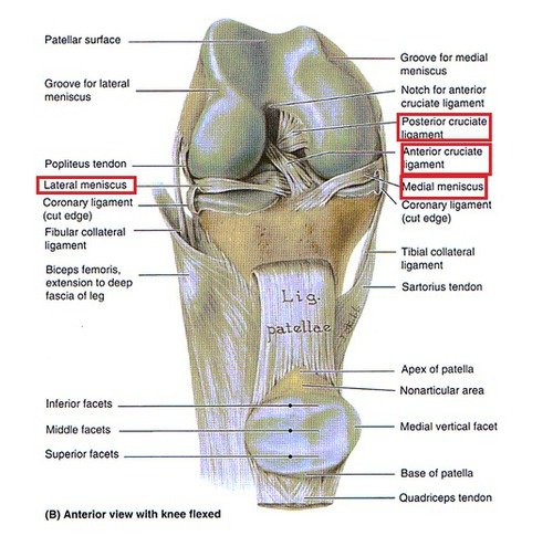 Lateral Meniscus Injury