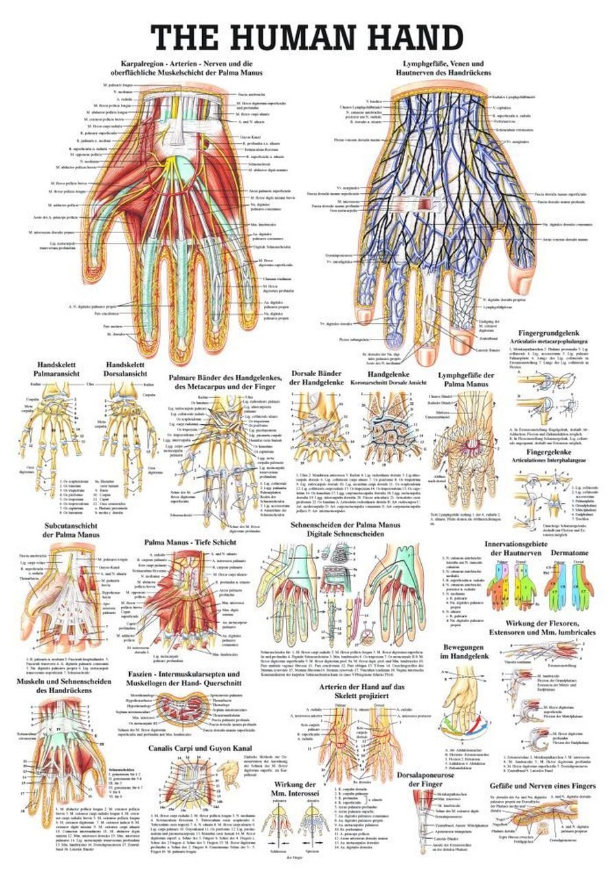 Metacarpal fractures